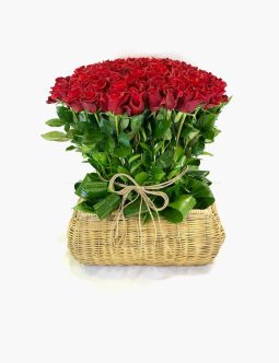 100 Shades of Roses FV-0012