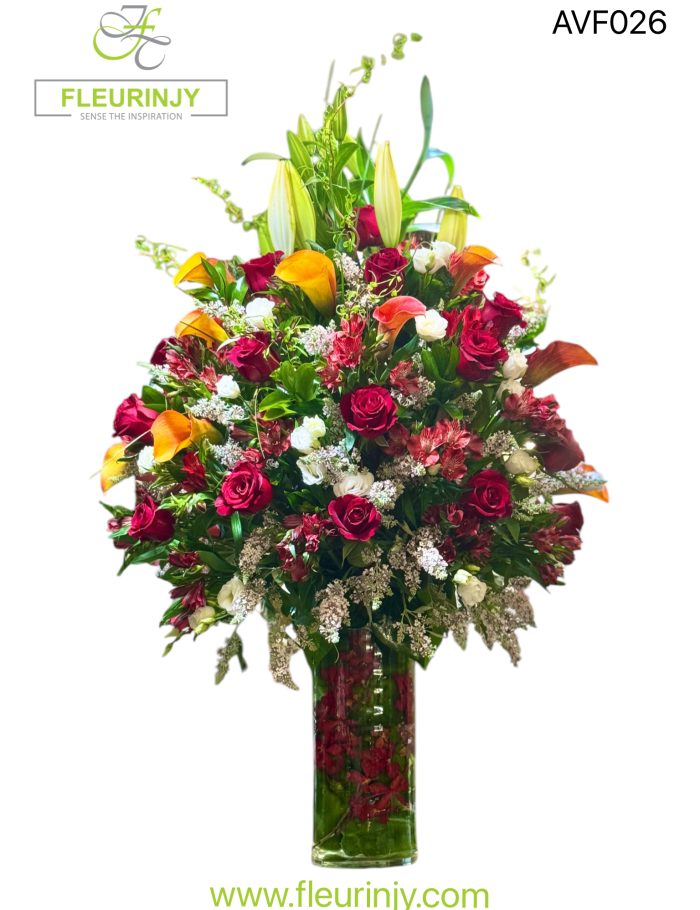 IMG_0250.jpg IMG_0250.jpg