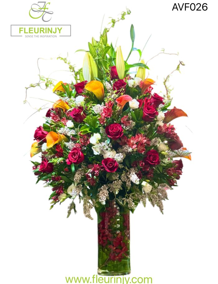 IMG_0251.jpg IMG_0251.jpg