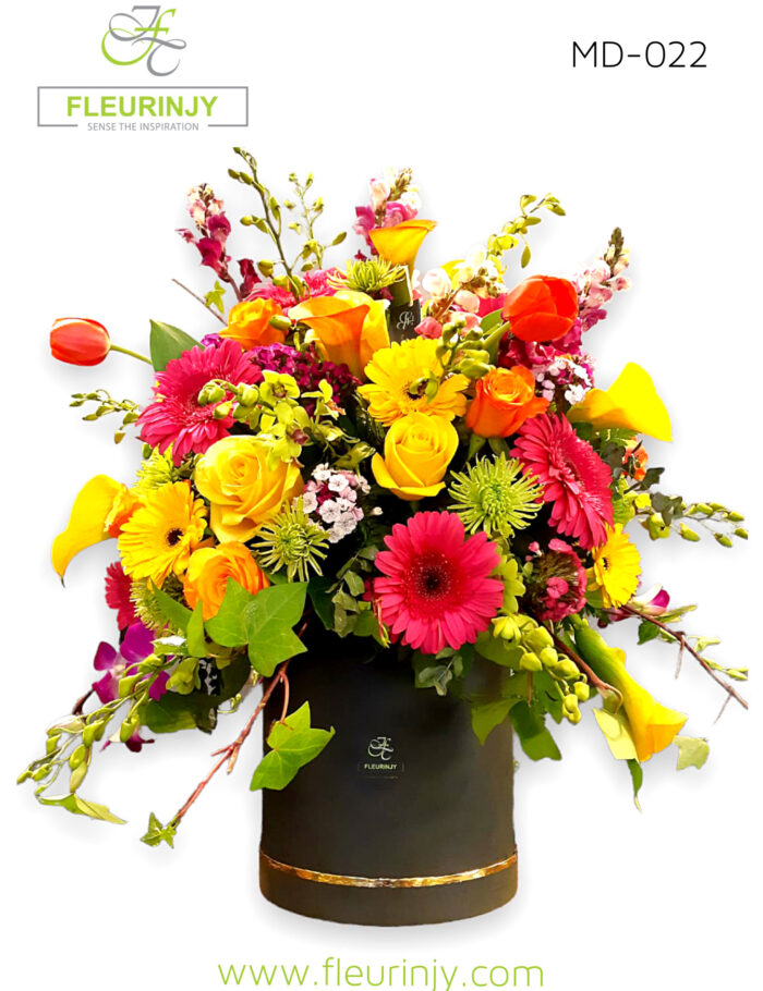 IMG_0676.jpg IMG_0676.jpg