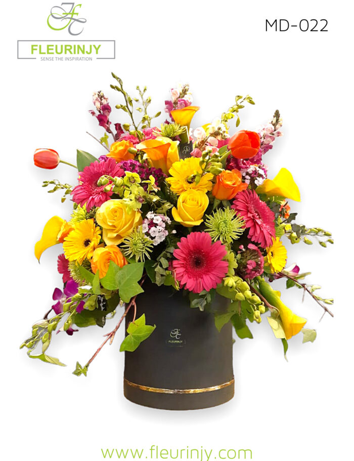 IMG_0677.jpg IMG_0677.jpg