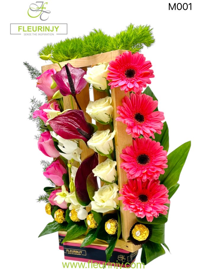 IMG_1003.jpg IMG_1003.jpg