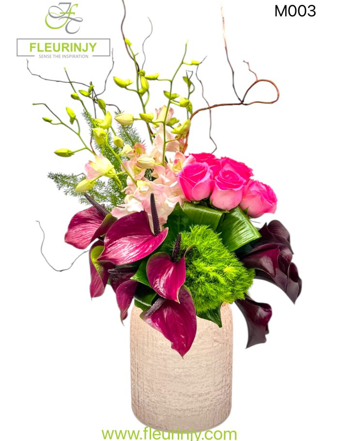 IMG_1012.jpg IMG_1012.jpg