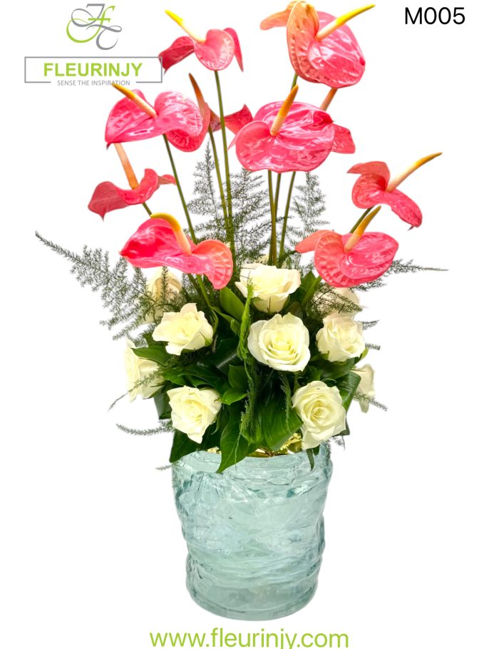 IMG_1017.jpg IMG_1017.jpg