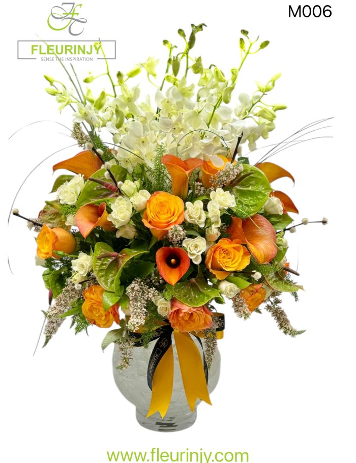 IMG_1021.jpg IMG_1021.jpg