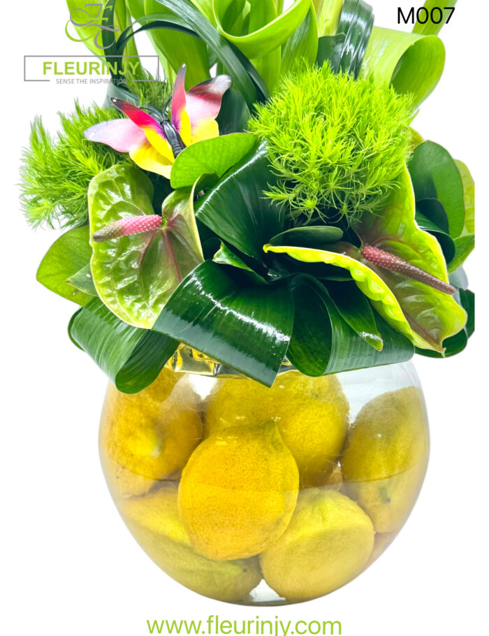 IMG_1025.jpg IMG_1025.jpg