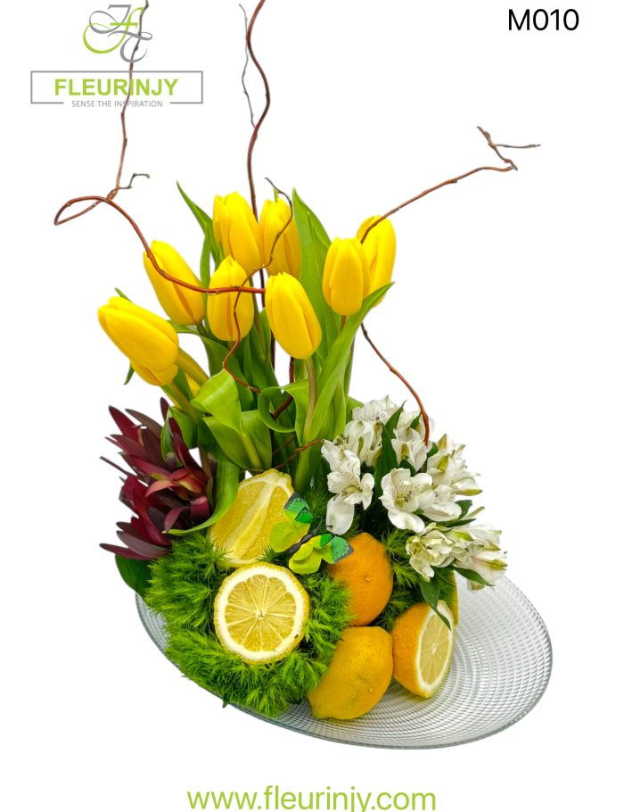 IMG_1037.jpg IMG_1037.jpg