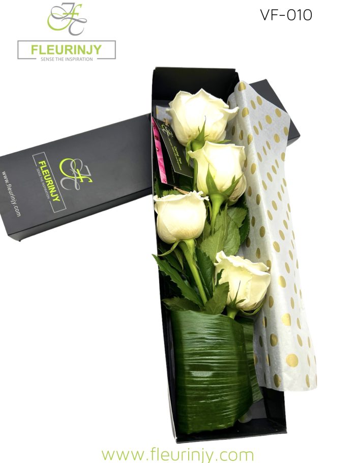 IMG_3482.jpg IMG_3482.jpg