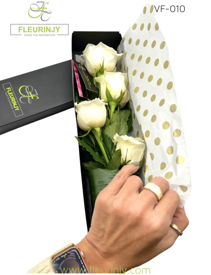 IMG_3483.jpg IMG_3483.jpg