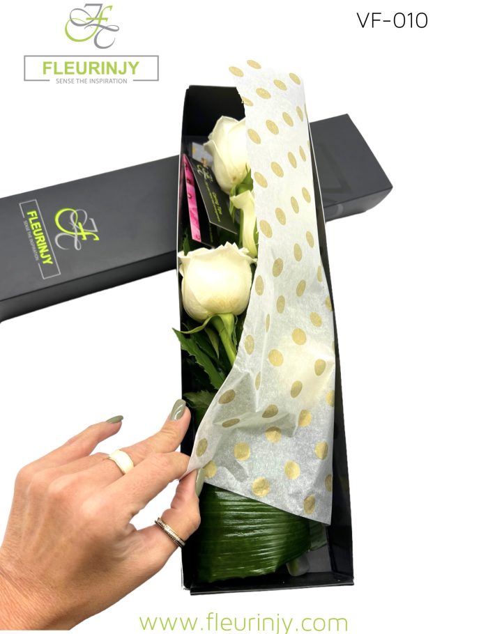 IMG_3484.jpg IMG_3484.jpg