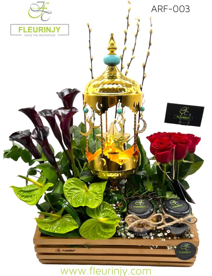 IMG_4508.jpg IMG_4508.jpg