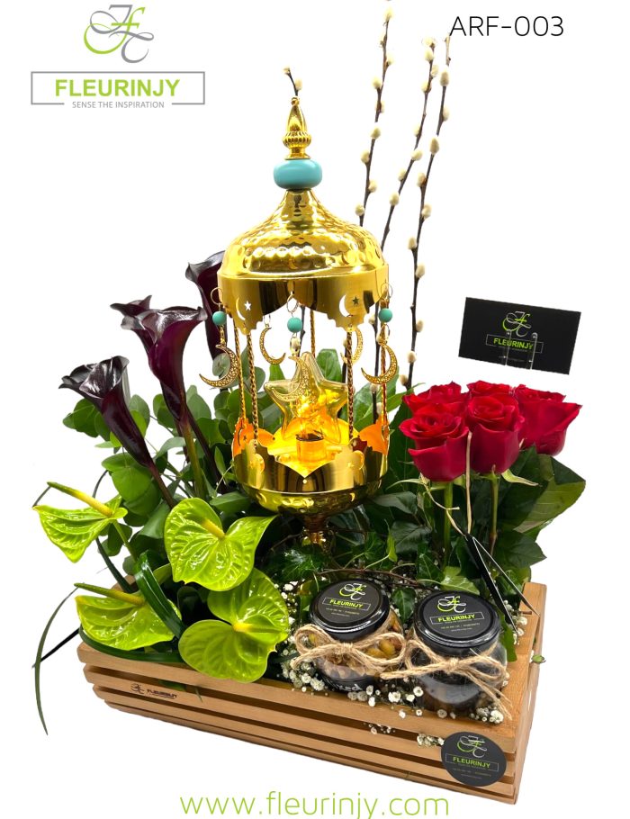 IMG_4509.jpg IMG_4509.jpg