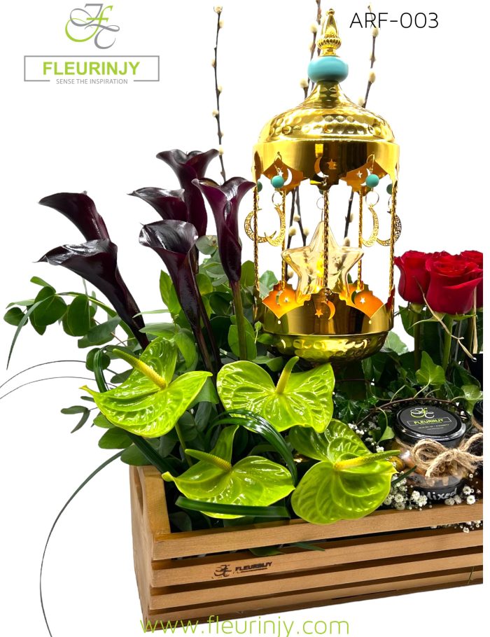 IMG_4510.jpg IMG_4510.jpg