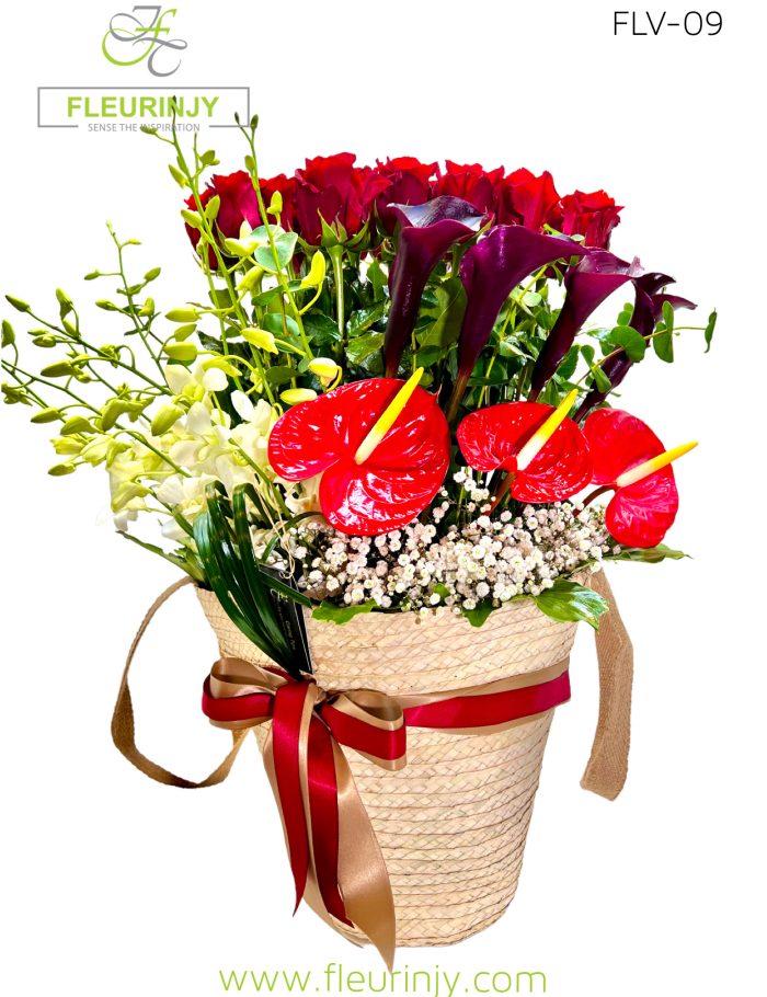 IMG_6467.jpg IMG_6467.jpg