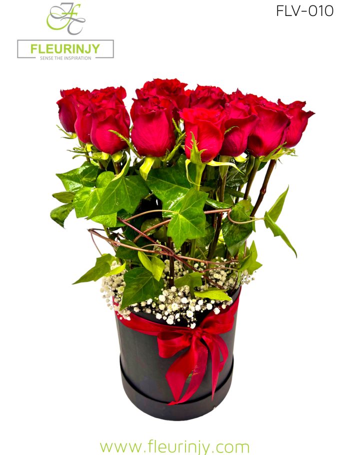 IMG_6472.jpg IMG_6472.jpg