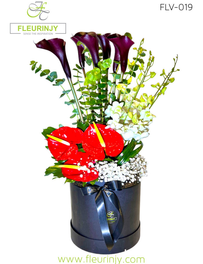 IMG_6501.jpg IMG_6501.jpg