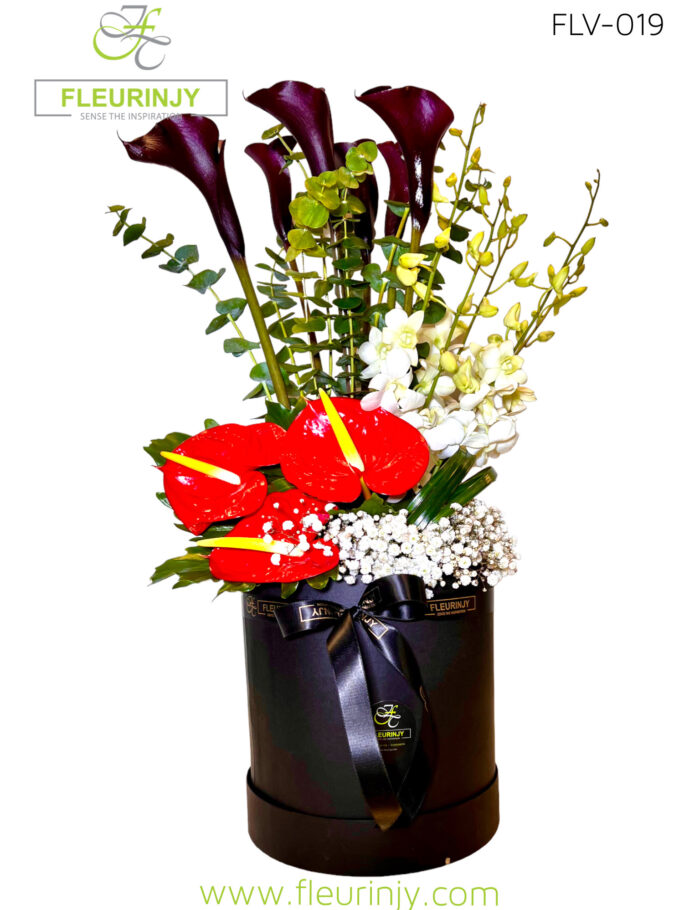 IMG_6502.jpg IMG_6502.jpg