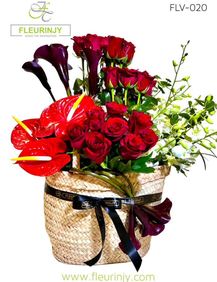 IMG_6505.jpg IMG_6505.jpg