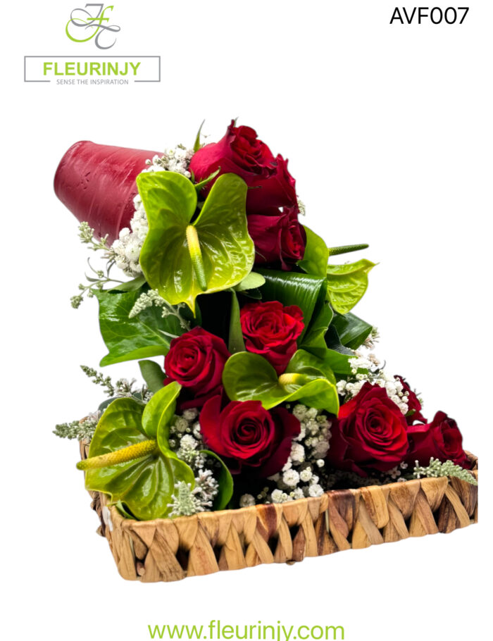 IMG_9709.jpg IMG_9709.jpg