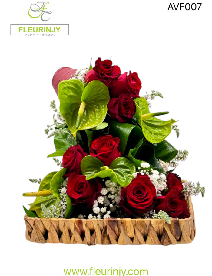 IMG_9710.jpg IMG_9710.jpg