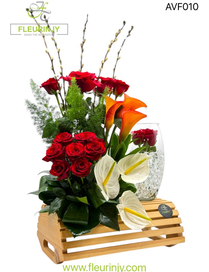 IMG_9717.jpg IMG_9717.jpg