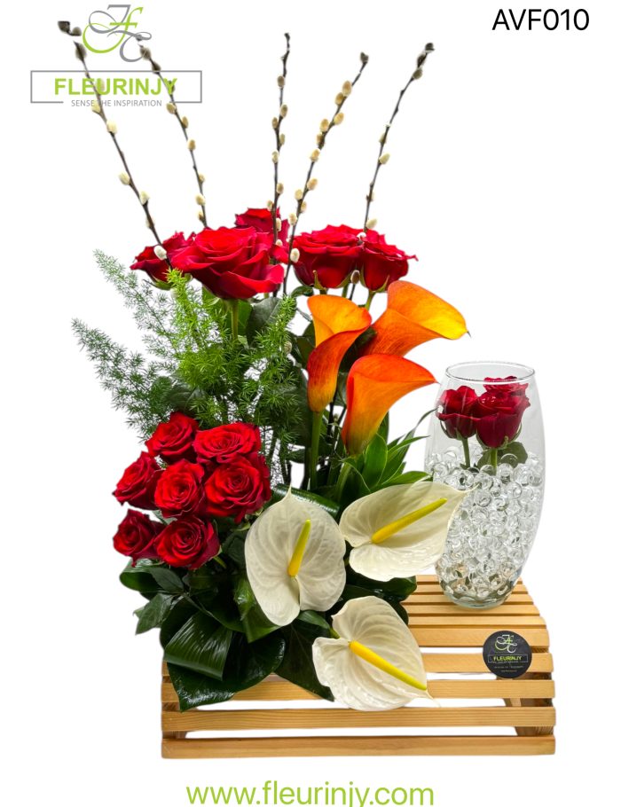 IMG_9718.jpg IMG_9718.jpg