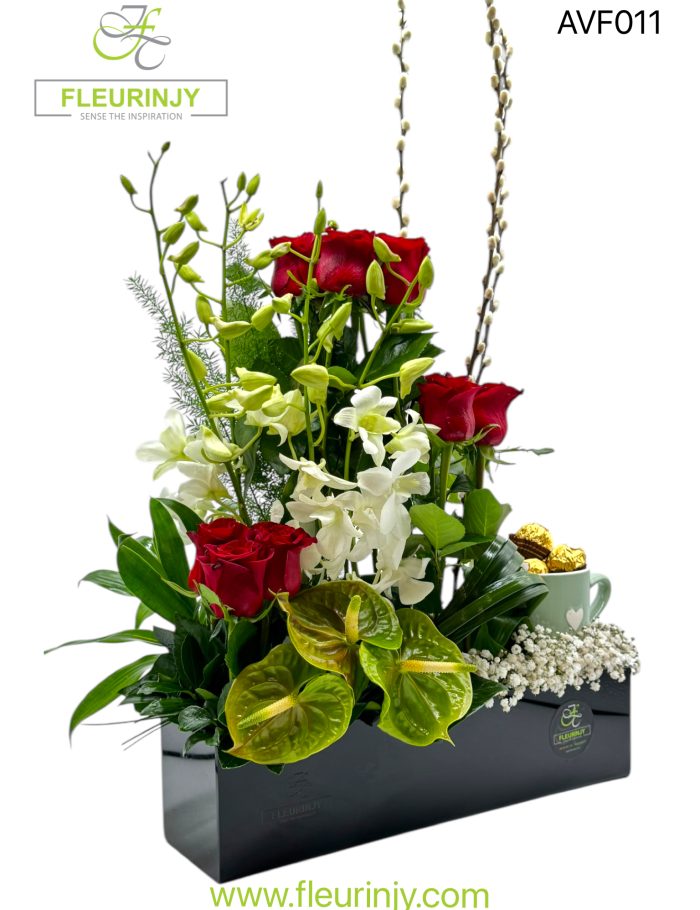 IMG_9722.jpg IMG_9722.jpg